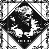 Für Elise (Hardstyle Remix) artwork