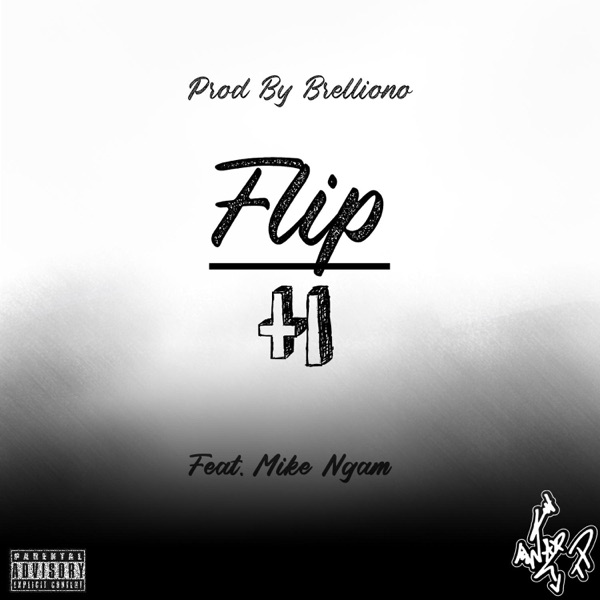 Flip It