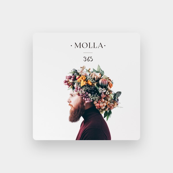 MOLLA's avatar