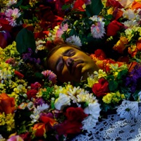 Dime Mentiras - Single - Papa Topo