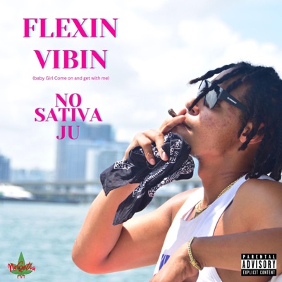 Flexin, Vibin - Single