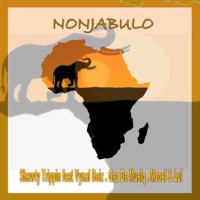 Nonjabulo (feat. VYNAL BOIZ, Gaz Da Musiq, Mzoel & LUI) - Single - SHAWTY TRIPPIN