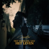 Het Verschil Van Het Leven artwork