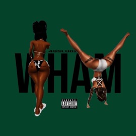WHAM 49slugz