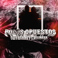 Polos Opuestos (feat. Dilinyer) - Single - TeffaGang