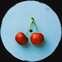 What You Want - Single - Sideluv & KTRNA