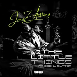 The Little Things (feat. Ebony Slater) Jamez Anthony