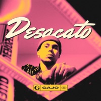 DESACATO - Single - Gajo
