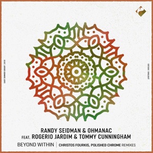 Beyond Within (feat. Rogerio Jardim & Tommy Cunningham) - Single