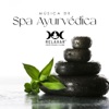 Música de Spa Ayurvédica: Purificar o eu Interior, Relaxe com Ayurveda, Rejuvenescimento Corpo e Mente