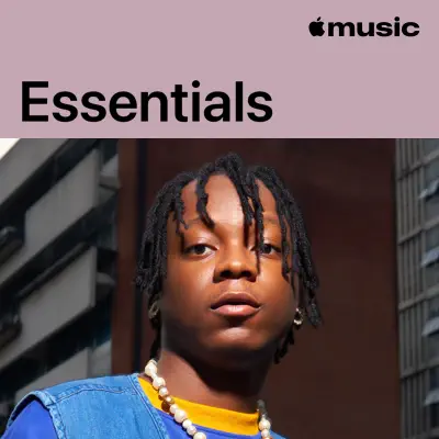 Listen to Terri Essentials  featuring Terri