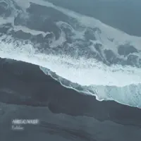 There Is A Big Empty Space Where You Used To Be — Airgonaut