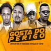 Gosta do Perigo (feat. MC Renanzin) - Single