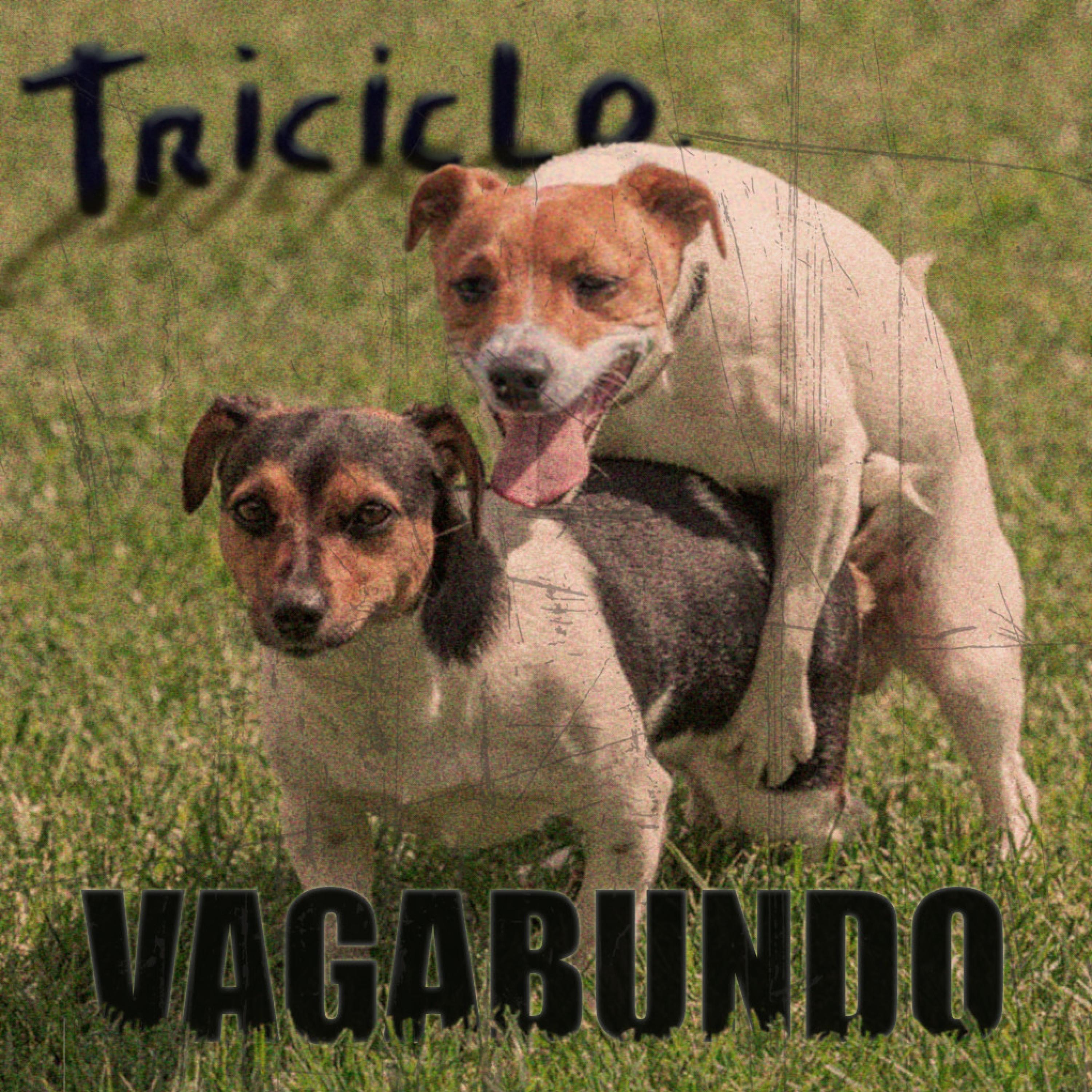 Vagabundo - Single