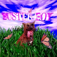 Buster Boy - Single - Dolphin Hyperspace, Nicole McCabe & Logan Kane