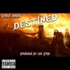 Destined (feat. Lex Zyne) - Single