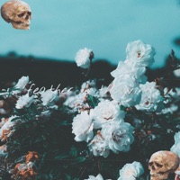 Feather In the Wind - Single - prettysureimdead