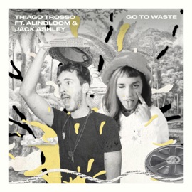 Go To Waste (feat. Jack Ashley) Thiago Trosso & Alinbloom