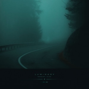 Luminary