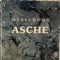 Asche - Hessedogg lyrics