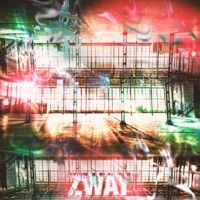 Diagnostics - Single - zway