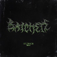 Brichete - Single - Goldbach