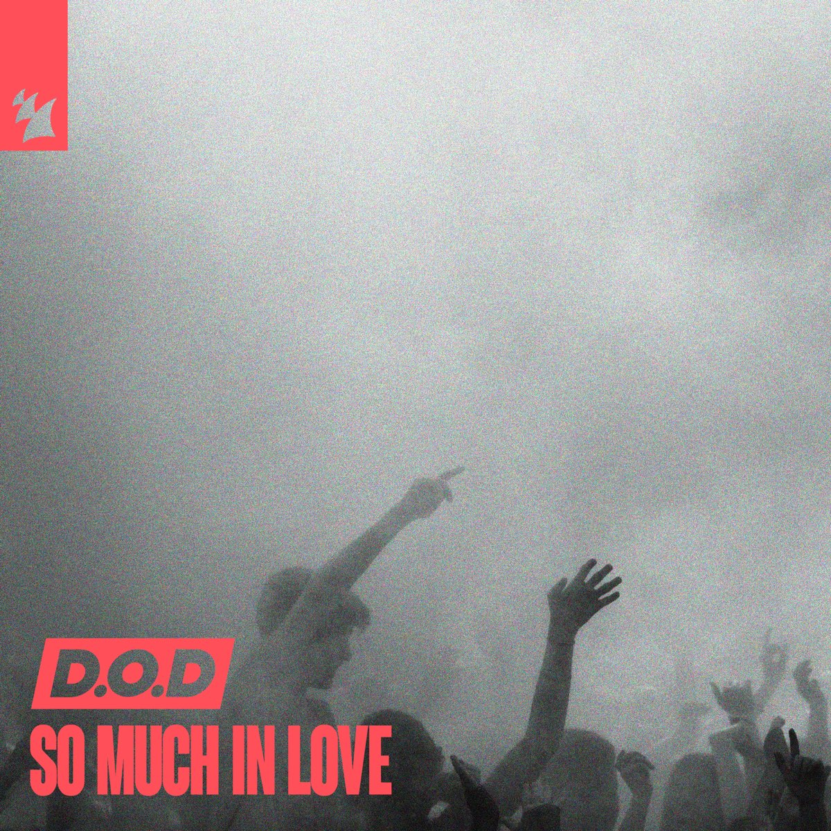 ‎so Much In Love Single Album By Dod Apple Music