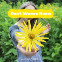 Don't Wanna Know - Single - Hybrid the Rapper & Spokewheel