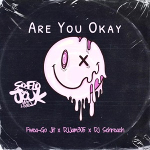 Are You Okay (feat. DJJam305 & DJ Schreach) - Single