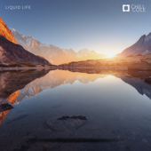 Liquid Life - Chill Cole Cover Art