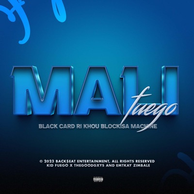 Mali (feat. Emtkay Zimbale & THEGOODGXYS) - Single