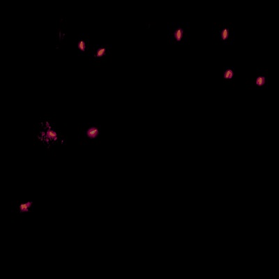 SKINxWALKER - Single