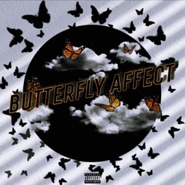 Butterfly Affect ZayDelm