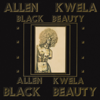 Qaphela - Allen Kwela