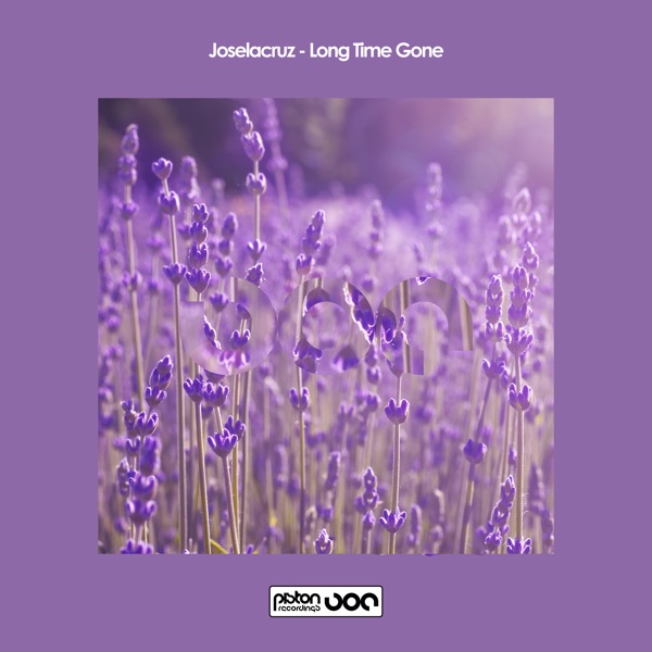 Long Time Gone - Single
