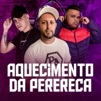 Aquecimento da Perereca - Single - DJ Dubai & MC Gringo