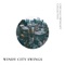 Windy City Swings - Chicago Swingset Collective lyrics