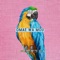 Omae Wa Mou (feat. Cg5 & Monty-Chan) - EileMonty lyrics