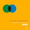 Martin Eigenberg, Ryan Shade & Aaron Pfeiffer - I'm So Over You (Edit) portada