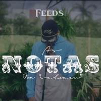 As Notas Me Salvam - Single - Feeds