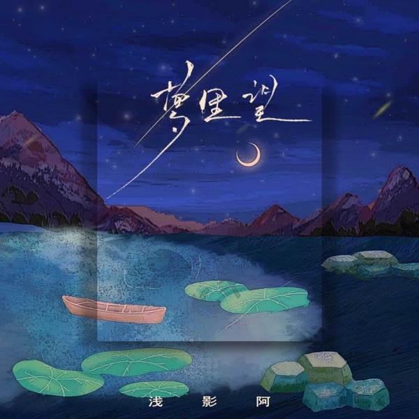 梦里望 (DJ细霖版) - Single