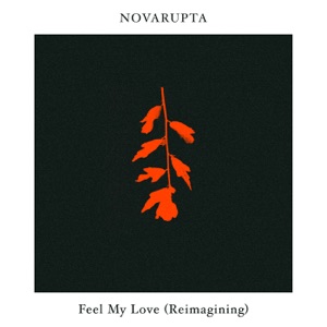 Feel My Love (Novarupta Reimagining) - Single