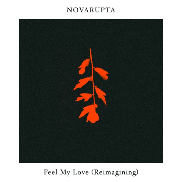 Feel My Love (Novarupta Reimagining) - Single