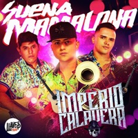Suena Mamalona - Single - Imperio Calavera