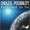 Endless Possibility / Posibilidad Sin Fin (feat. Lufca) - Single