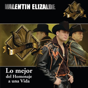 Lo mejor del Homenaje a una Vida