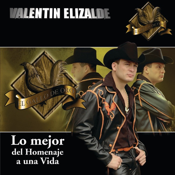 Lo mejor del Homenaje a una Vida