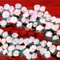 stampida - no pedí permiso al cielo