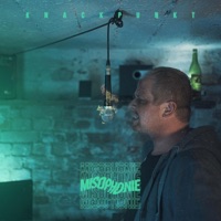 Misophonie - Single - Knackpunkt
