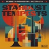 Stardust Tempests (feat. Matt Wong, Joel Behrman, Shaina E & Tommy Occhiuto) - Single